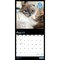 Cat Selfies | 2026 12 x 24 Inch (Hanging) Monthly Square Wall Calendar | Plastic-Free